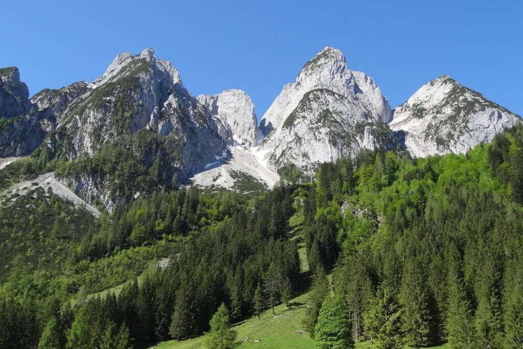 Das Almsternderl - Gemutliche Wohnung In Gosau Dış mekan fotoğraf