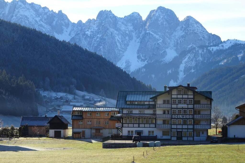 Das Almsternderl - Gemutliche Wohnung In Gosau Dış mekan fotoğraf