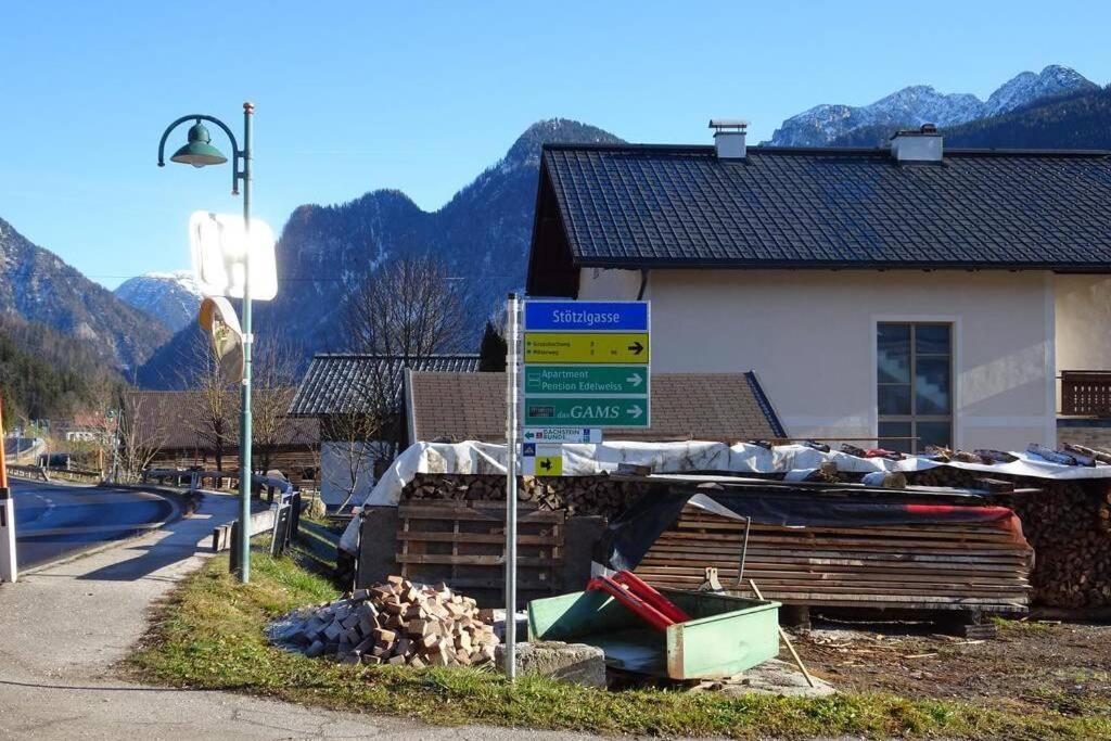 Das Almsternderl - Gemutliche Wohnung In Gosau Dış mekan fotoğraf