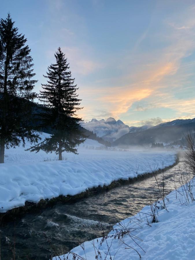 Das Almsternderl - Gemutliche Wohnung In Gosau Dış mekan fotoğraf