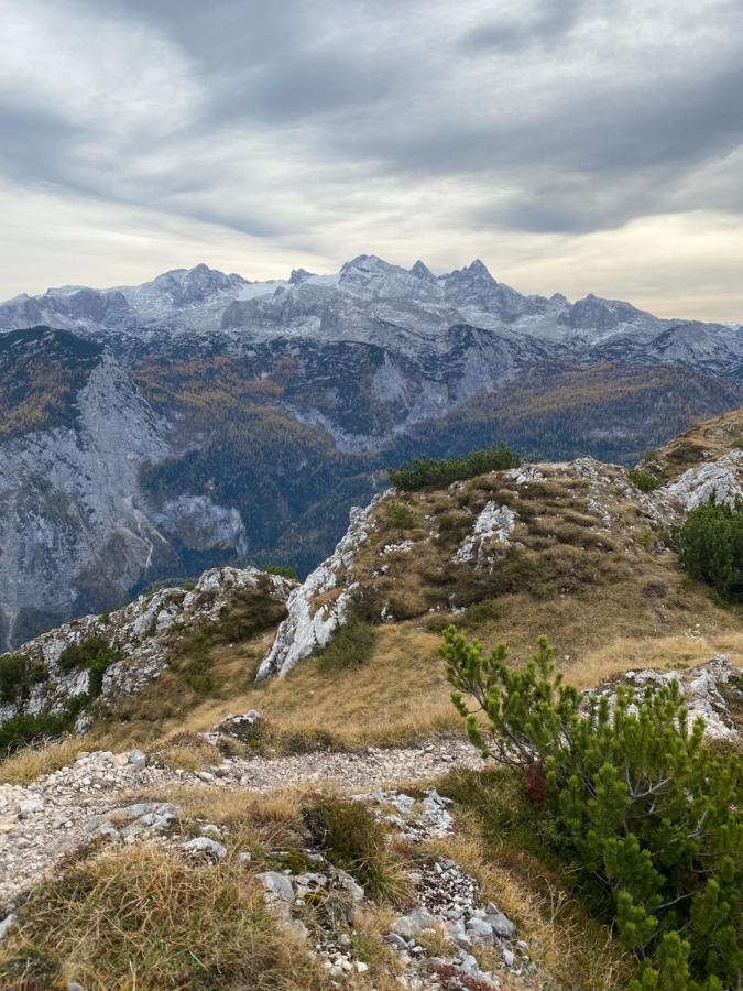 Das Almsternderl - Gemutliche Wohnung In Gosau Dış mekan fotoğraf