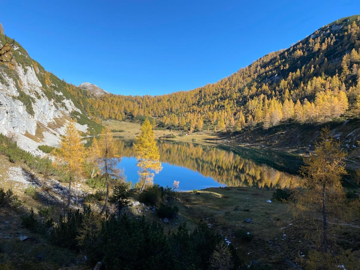 Das Almsternderl - Gemutliche Wohnung In Gosau Dış mekan fotoğraf