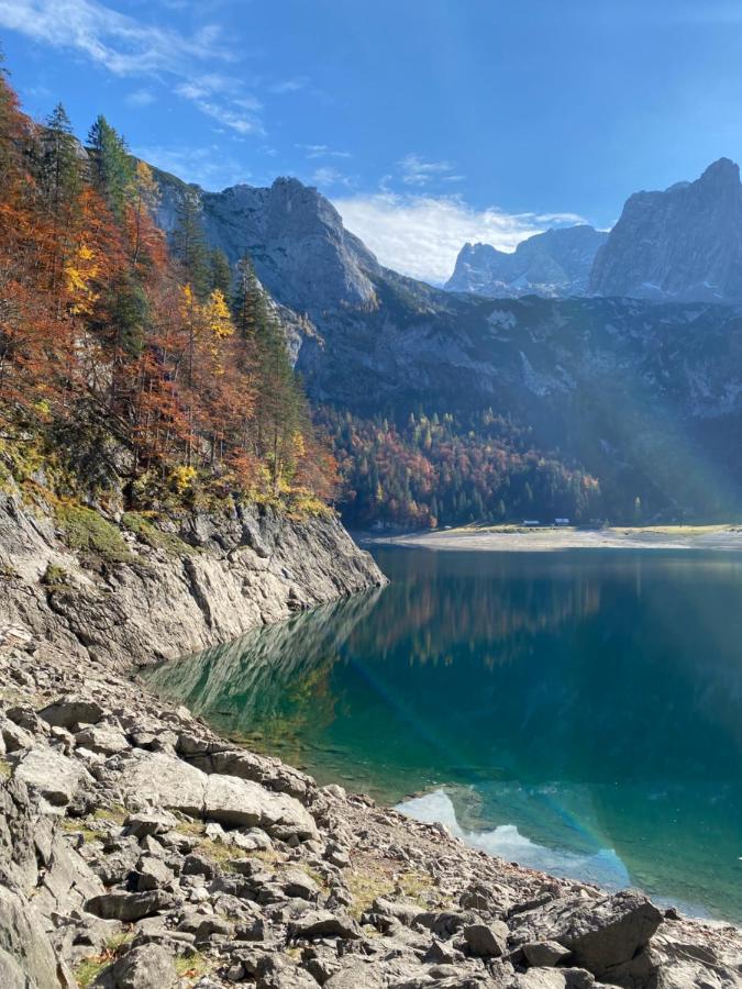 Das Almsternderl - Gemutliche Wohnung In Gosau Dış mekan fotoğraf