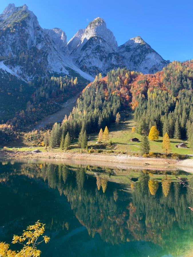 Das Almsternderl - Gemutliche Wohnung In Gosau Dış mekan fotoğraf