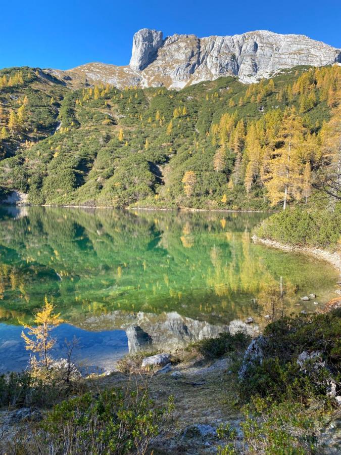 Das Almsternderl - Gemutliche Wohnung In Gosau Dış mekan fotoğraf