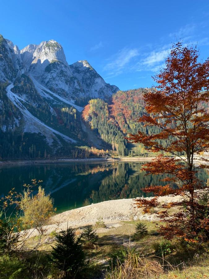 Das Almsternderl - Gemutliche Wohnung In Gosau Dış mekan fotoğraf