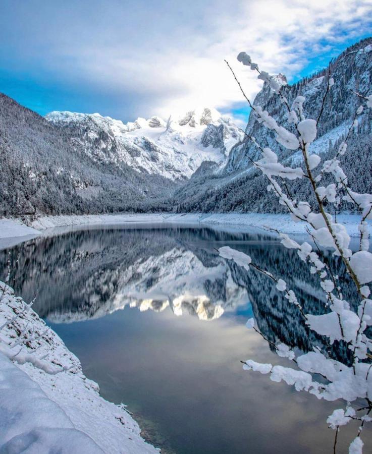 Das Almsternderl - Gemutliche Wohnung In Gosau Dış mekan fotoğraf