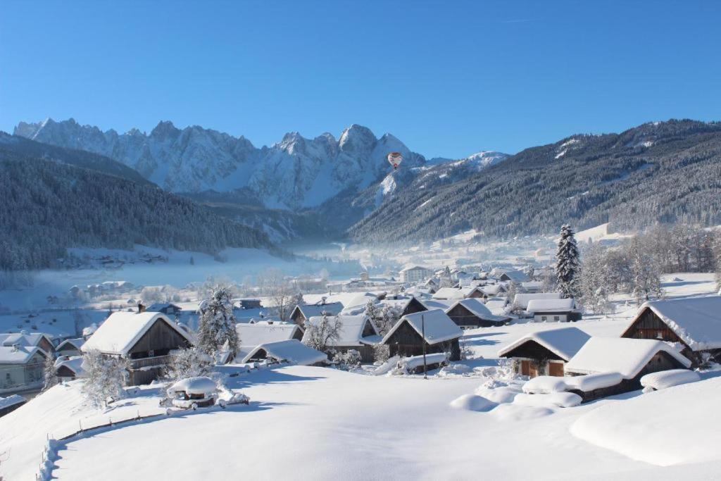 Das Almsternderl - Gemutliche Wohnung In Gosau Dış mekan fotoğraf